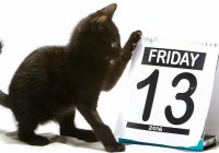 Friday 13th